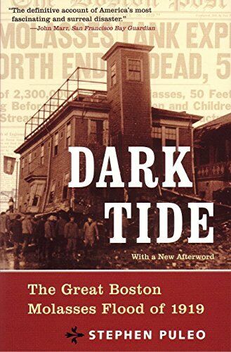 Dark Tide: The Great Boston Molasses Flood of 1919,Stephen Pul , - Foto 1 di 1
