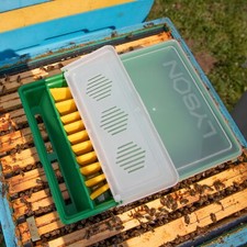 LYSON Futtertrog Futterkasten eckig für Bienenfutter für Sirup
