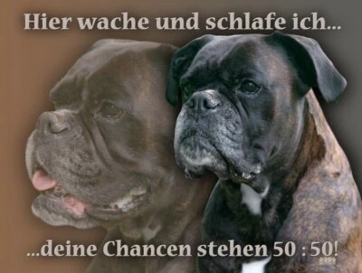 DEUTSCHER BOXER Hundewarnschild Metall SCHILD Alu-Dibond Hundeschild NEU #1 - Bild 1 von 3