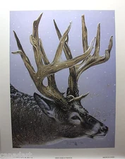 RANDY FEHR " North American Whitetail " Mint LTD art print Certificate DEER SNOW
