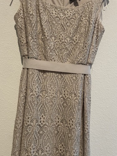 R&M Richards Women’s Lace Sequins Long Dress Size 16 Beige Evening Wedding - Picture 2 of 13