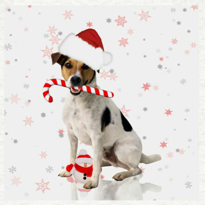 Hund Jack Russell Weihnachten Stoff Handarbeit Paneele in 100% Baumwolle  oder