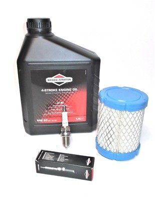 Wartung- Kit für Briggs & Stratton Intek OHV Motoren 9   12,5 PS, 591583