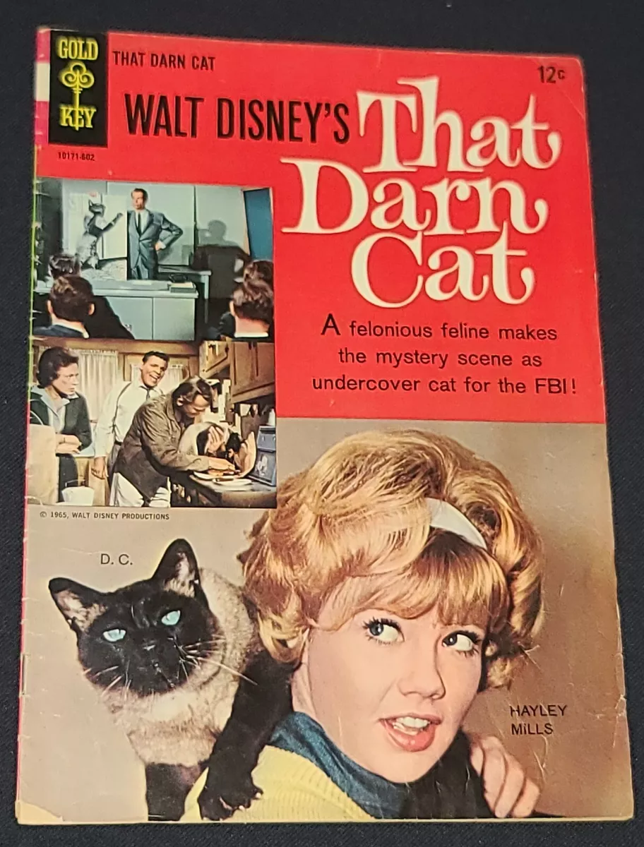 That darn cat 1965 full movie online free hot sale