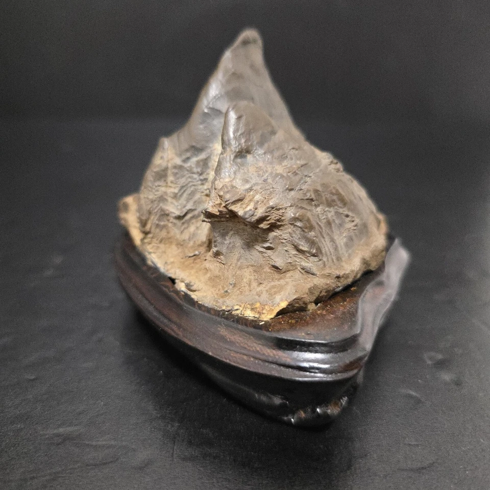 Piedra Suiseki, Bonseki, Era Furuya, piedra bonsai wabi-sabi japonés Foto 4 de 4