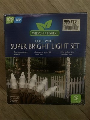 Wilson and Fisher super bright light set cool white/indoor /outdoor Lights