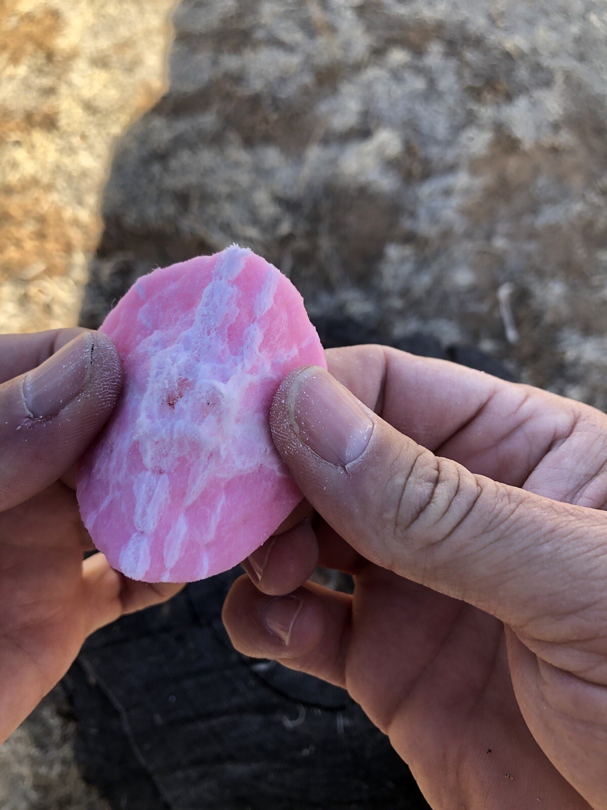 Southwest Survival Fire Starter Disc (8) Camping, Bush Craft