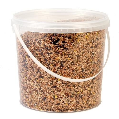 Premium Canary Seed Mix Food, 2.5L 