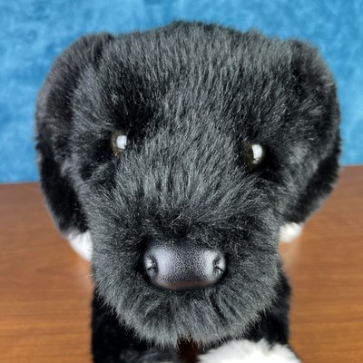 Douglas Olive Rescue Pup 21