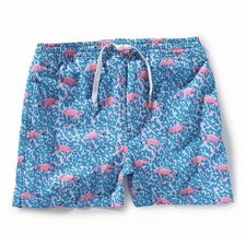 Chubbies Big Boys Sz M 10/12 Domingo s Are For Flamingos Blue Pink Swim Trunks