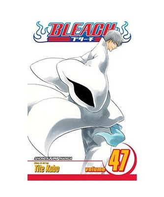 Bleach, Vol. 47: End of the Chrysalis Age, Tite Kubo