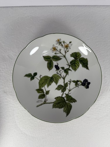 7 Vintage Seltmann Weiden Waldbeere 7 3/4” Bowls Bavaria W. Germany Wildberries - Picture 5 of 23
