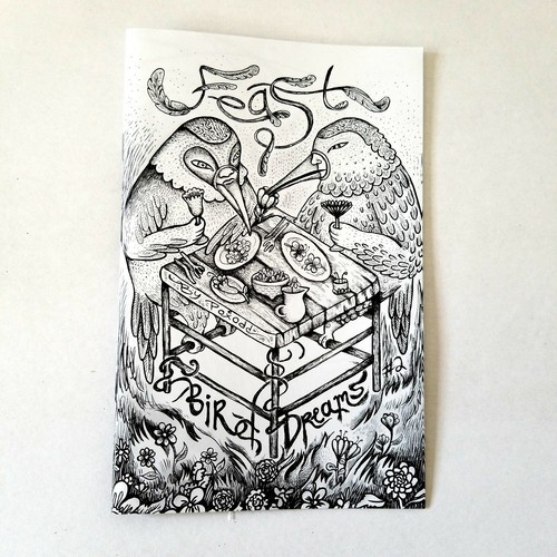 Bird Dreams Zines - Plumaje - Fiesta - Ruido - Pluma y tinta para arte de aves - Poxodd - Imagen 8 de 18