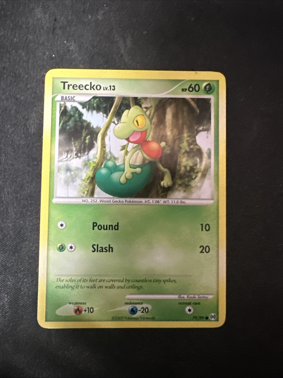 Treecko 79/99 - Arceus - 2009 - Common - Pokemon Card TCG