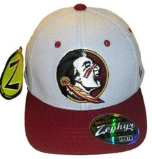 Florida State Seminoles Kids Youth Zephyr Grey Stretch Fit hat New Ncaa