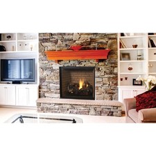 Regency City Series San Francisco Bay 40 Gas Fireplace Cb40e