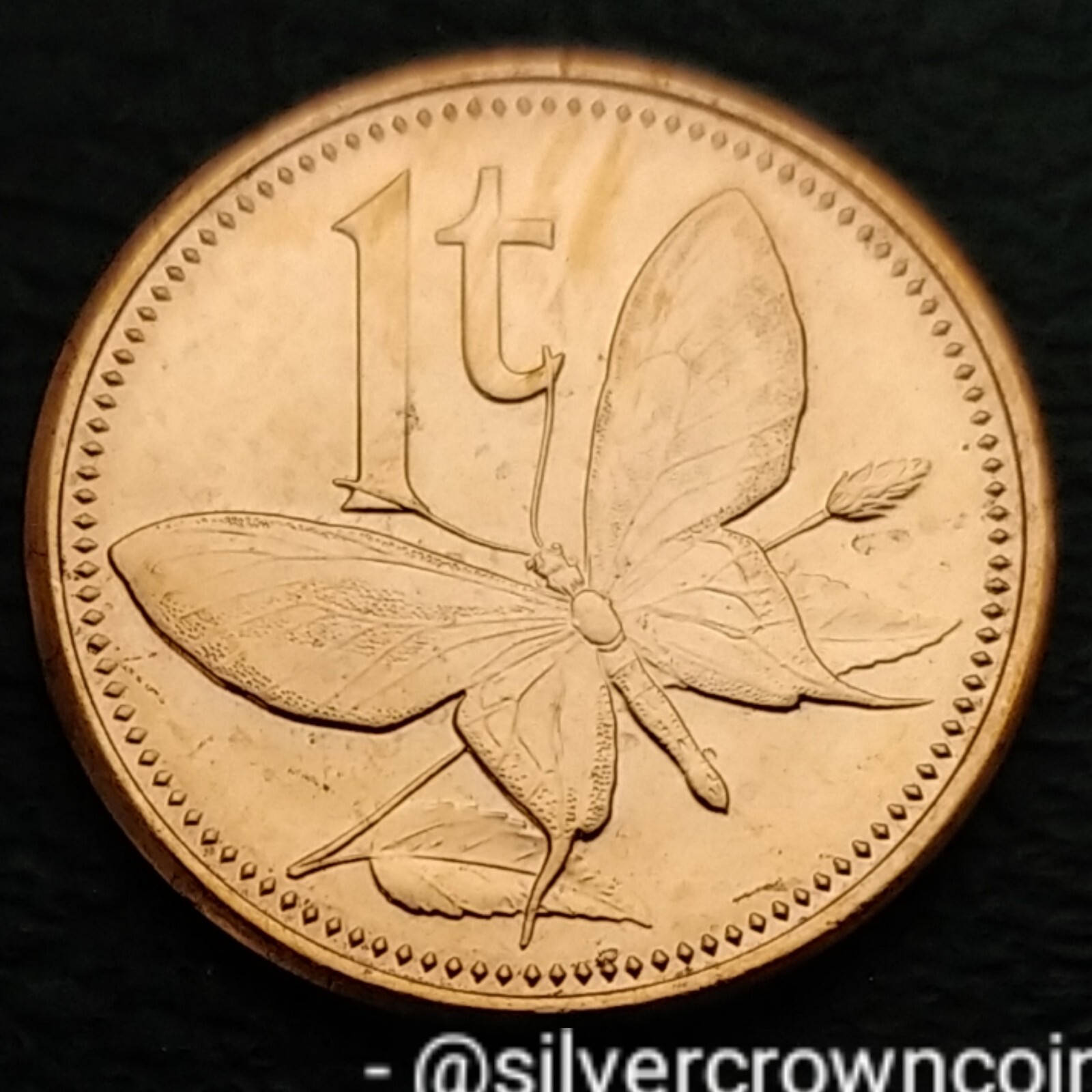 Papua 🇵🇬 New Guinea 1 Toea 2004. KM#1. One Cent coin. Butterfly ...
