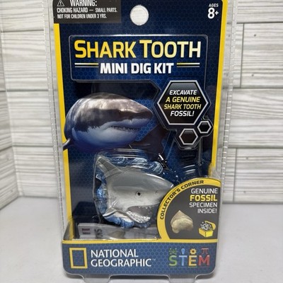 National Geographic STEM Shark Tooth Mini Dig Kit Excavate a Genuine Fossil