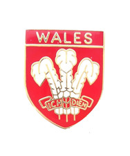 Prince of Wales Feathers Welsh Enamel Lapel Pin Badge T223
