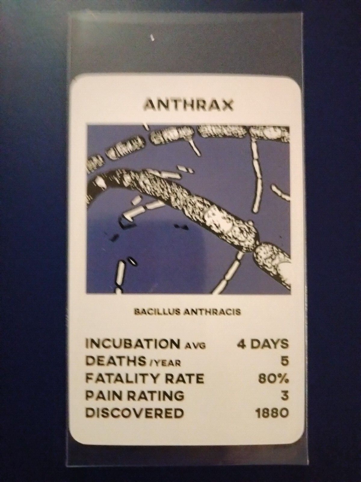 Picture 9 of 32