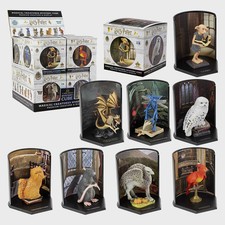 Harry Potter Full Set of 8 Magical Creatures Mystery Boxes - Full CDU of 8 Boxes