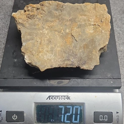 Wisconsin Agatized Chert Rough, Gray/Tan Lapidary Cabbing Material, 720g