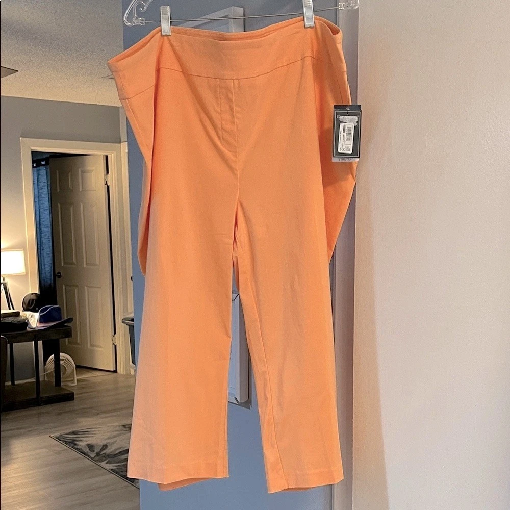NWT Counterparts Women’s Plus Size 24W Super Stretch Ankle Capri Pants