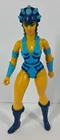 Mattel He-Man Masters of the Universe Evil Lyn Vintage MOTU Action Figure 1982