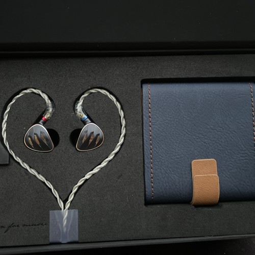 FiiO FH5s 2BA+2Dynamic Driver Hybrid In-Ear Monitore Kopfhörer FH5 - Bild 3 von 5