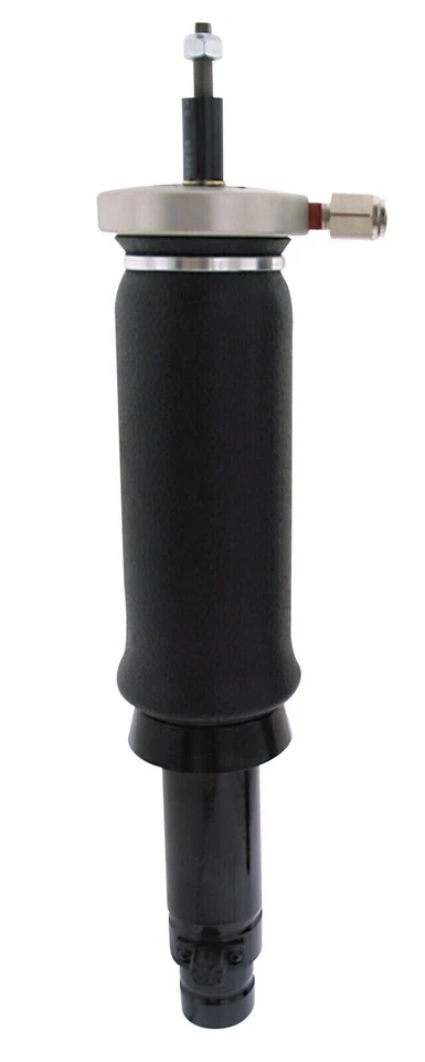 Air Lift 75440 para kit delantero Performance 94-01 Acura Integra Foto 2 de 4