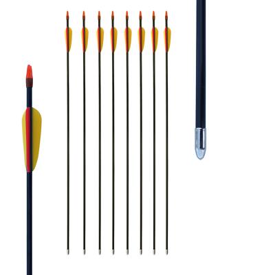 10 Fiberglaspfeile Pfeile Fiberglaspfeil Recurvebogen Sportbogen Bogenschiessen