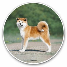 2 adesivi in vinile 25 cm - Akita Inu cucciolo cane animali domestici divertente regalo cool #3027