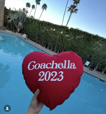 コーチェラ × Verdy 限定クッション Girls Don't Cry s-l400.jpg