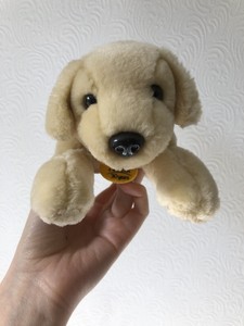 andrex dog teddy