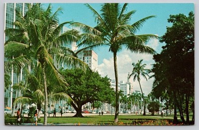 Vintage Bayfront Park Miami Florida Postcard Biscayne Blvd Palm Trees FNC5528