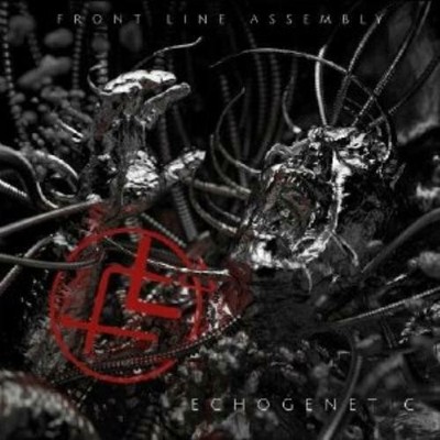 Echogenetic CD