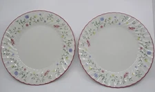 JOHNSON BROTHERS  SUMMER CHINTZ (England)-  2 DINNER PLATES- 10 1/2" 1008I