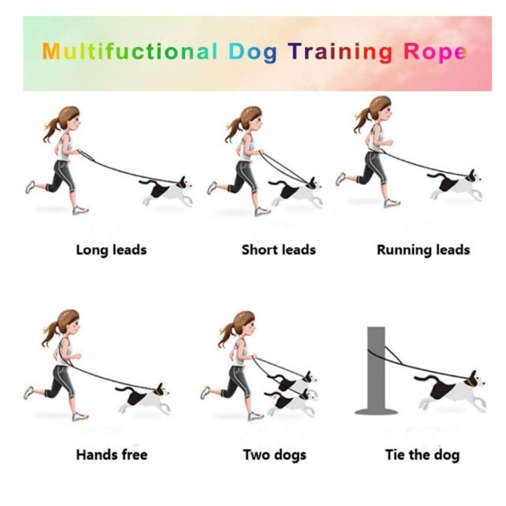 Durable Colorful Dog Leash Practical Multifunctional Rope Dog Leash eBay