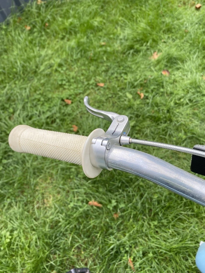 Cheetah Bike, Singlespeed, gebr. - Bild 2 von 4