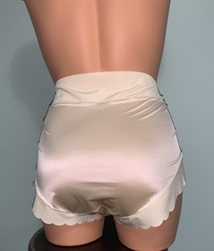 NEW Glossy Secret Stretch Satin 1X Briefs Panties SILKY Nylon Full Coverage