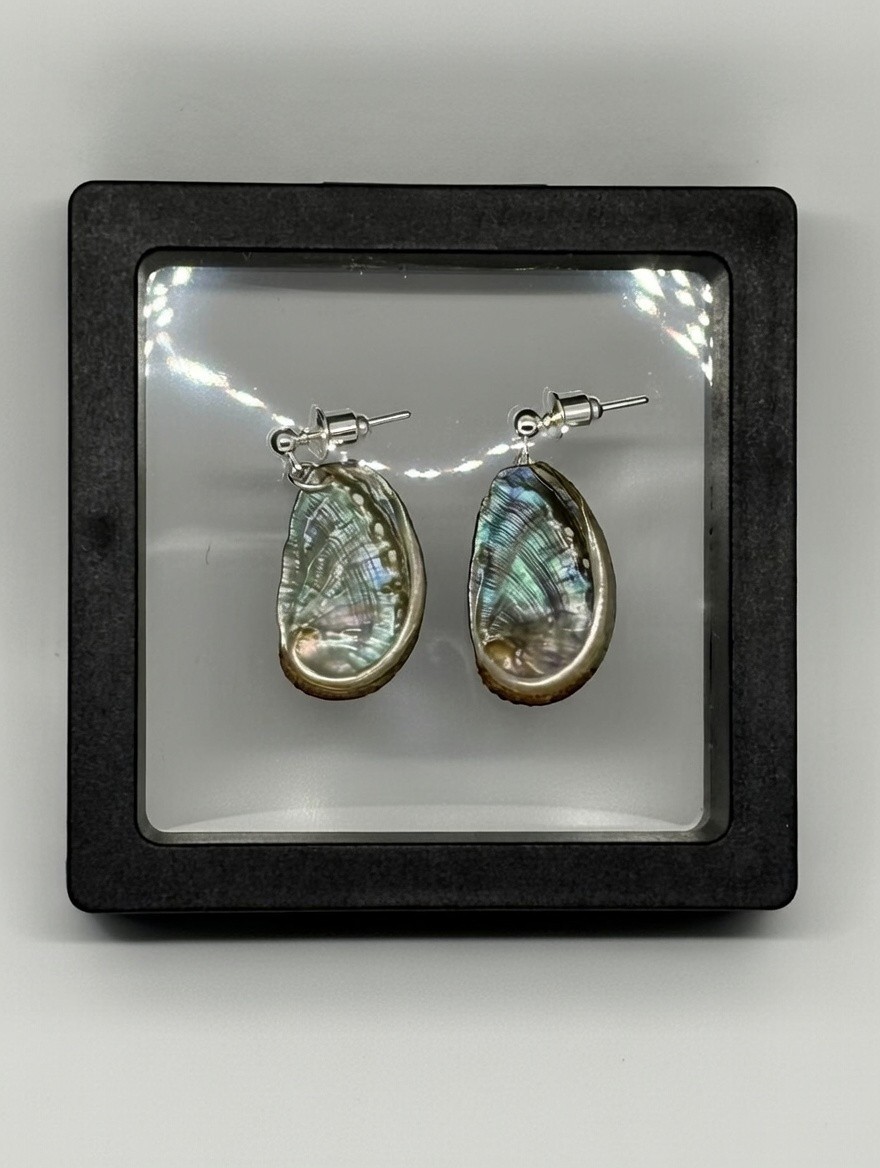 Boucles d'oreilles en ormeau naturel de 15mm façonnées à la main en pièce unique