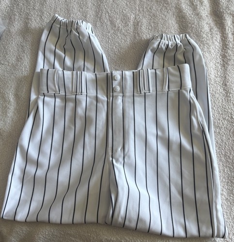 Champro Mens pin stripe baseball pants -Size Medium - Picture 1 of 6