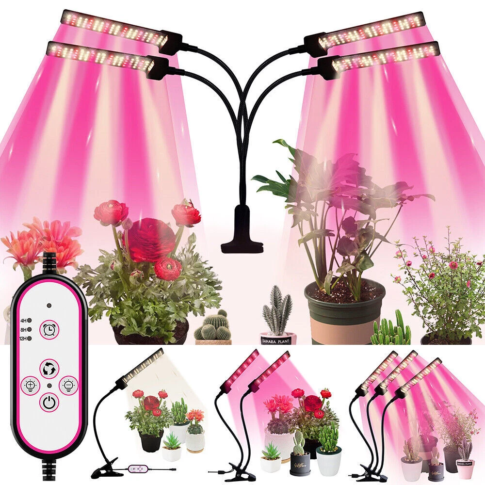 Led for growing online plants