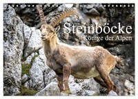 Calendar 2027 · US Version · Ibexes - Majestic Animals Of The Alps (Wall Calenda