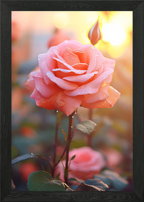 Wunderschöne rosa Rose auf einem Su gerahmtes Wandbild Poster Leinwanddruck Bild
