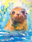 ACEO  - SEA LIFE  SEAL  Art  ***  Limited Time Only SALE!!