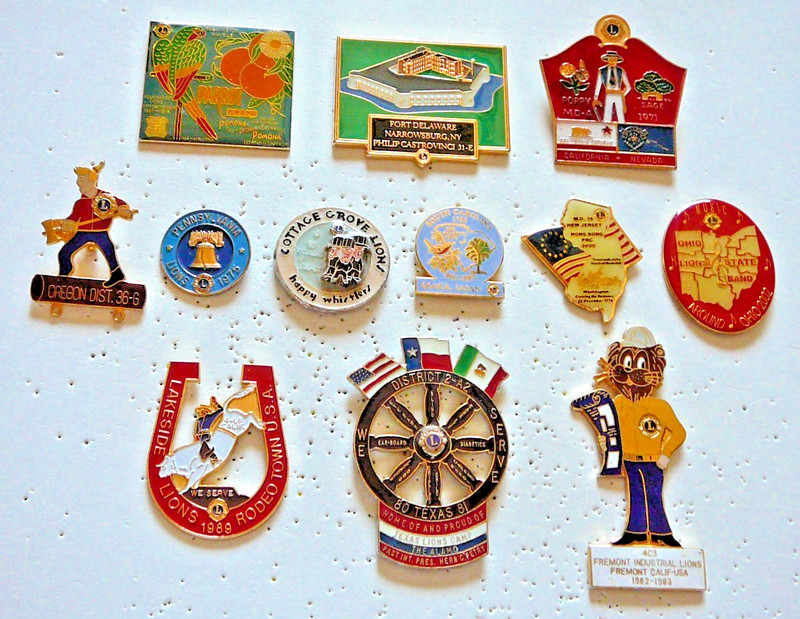 Lions Club Pins - A DOZEN Miscellaneous Pins, Clubs, Personal, MD's