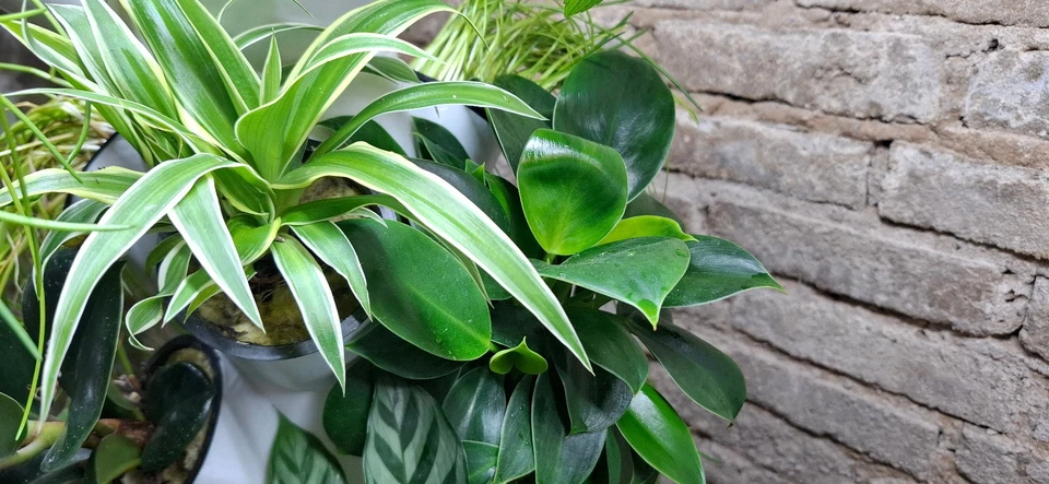 Hydroturm Vertikalgarten Hydrokultur Komplettset Anzucht Hydroponik Anbausystem - Bild 2 von 4