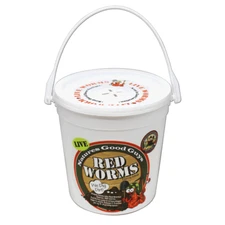 Compost Live Red Worms - Natures Good Guys - Red Wigglers