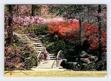 Azalea Garden in Woodwark Park Tulsa Oklahoma Vintage 4x6 Postcard OLP14